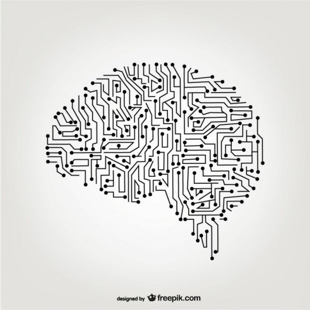 626x626 Brain Vectors, Photos And Free Download