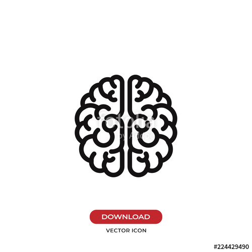 500x500 Brain Vector Icon Stock Image And Royalty Free Vector