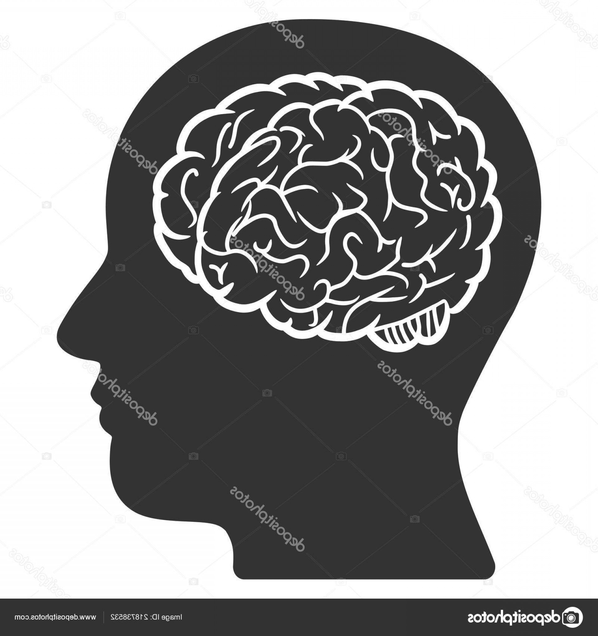 1920x2040 Stock Illustration Head Brain Vector Icon Geekchicpro