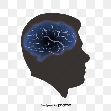 360x360 Brain Vector Png, Vector, And Clipart With Transparent