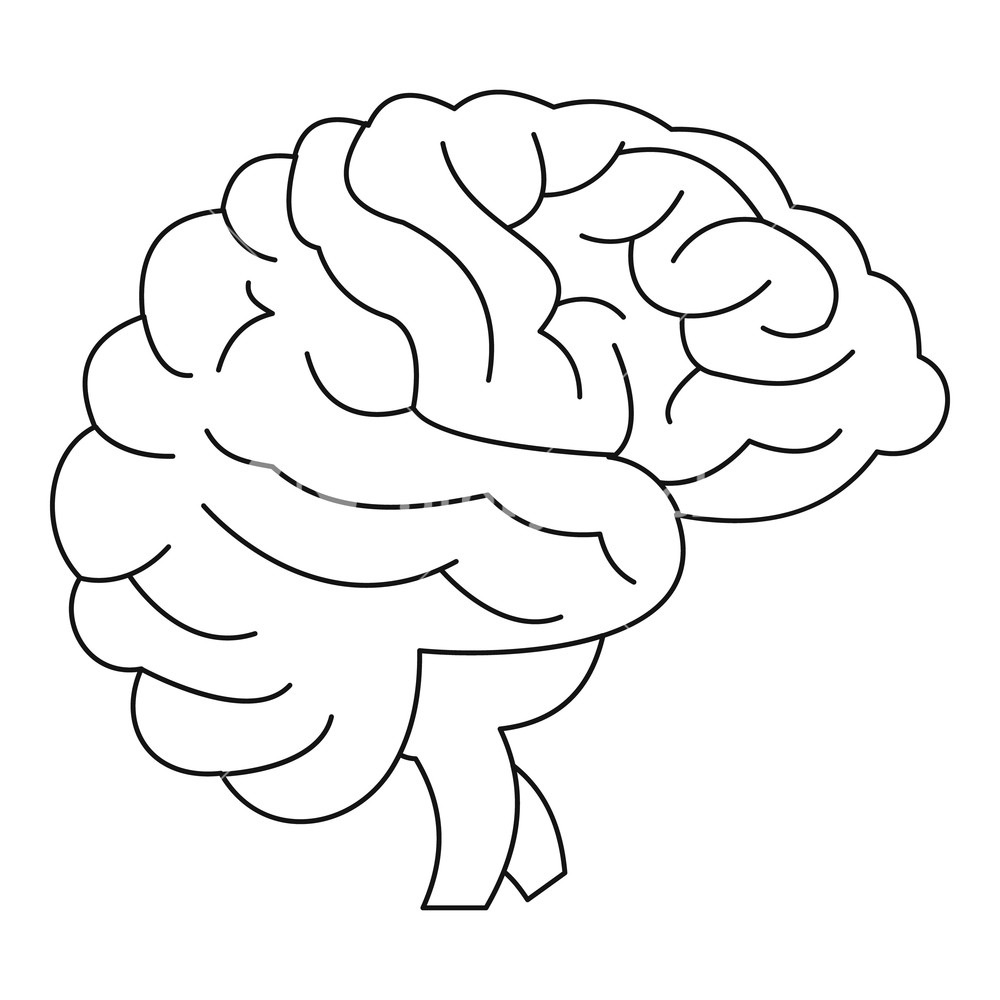 Brain Vector Image at Vectorified.com | Collection of Brain Vector ...
