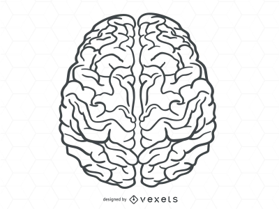 400x300 Brain Vector Png Abeoncliparts