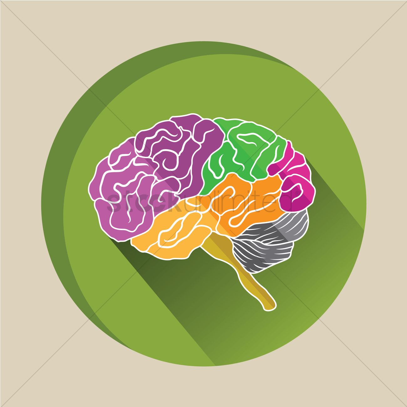 1300x1300 Colorful Human Brain Vector Image