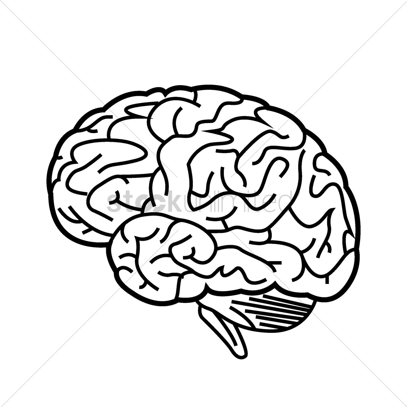 Brain Vector Image at Vectorified.com | Collection of Brain Vector ...