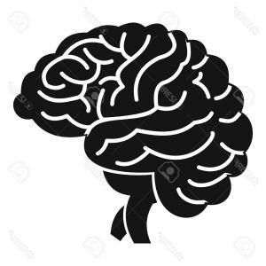 300x300 Photostock Vector Bran Simple Illustration Of Brain Vector