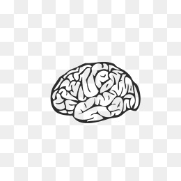 260x260 White Brain Png, Vectors, And Clipart For Free Download