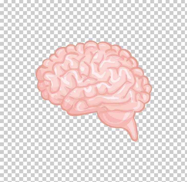 728x707 Brain Cerebrum Png, Clipart, Brain, Brain Vector, Designer, Dog
