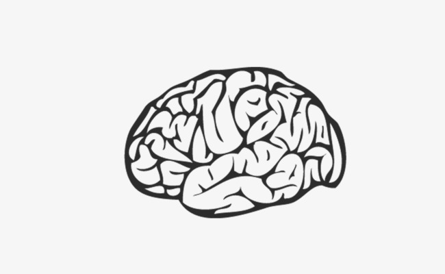 650x400 Brain Png Black And White Free Brain Black And White