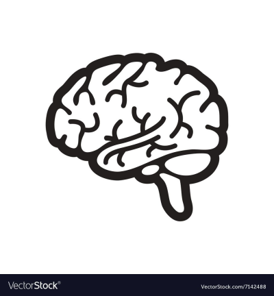 Brain Vector Png 400x432 Brain Vector Png