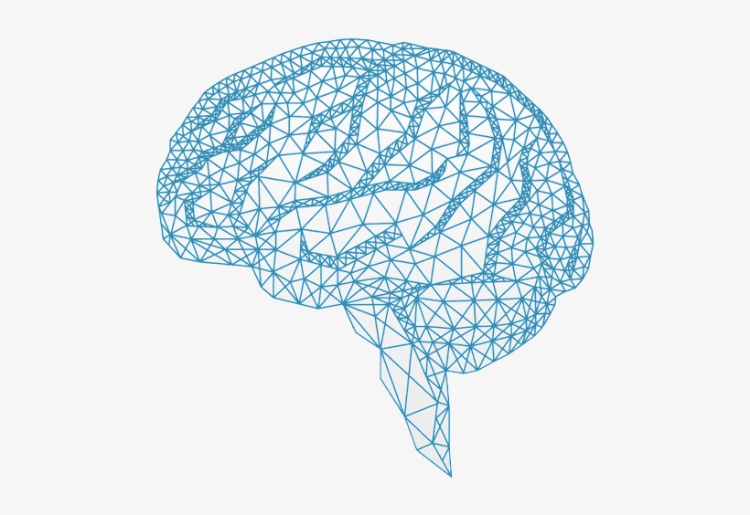 Brain Vector Png Free 820x564 Brain Vector Png Free