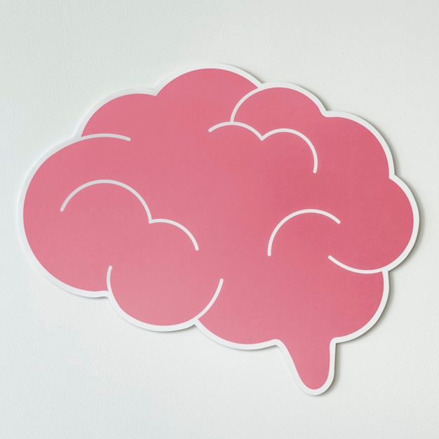 Brain Vectors, Photos And Free Download 626x626 Brain Vectors, Photos And Free Download