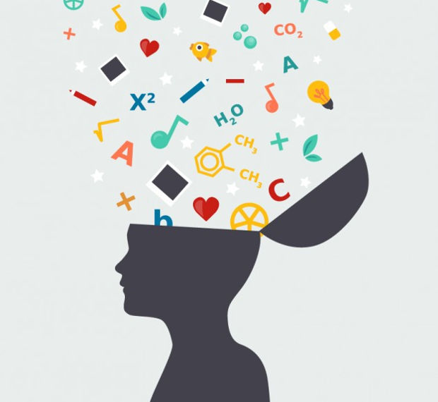 Human Brain Vectors 620x570 Human Brain Vectors