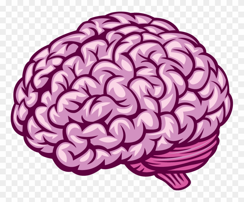 Human Brain 840x695 Human Brain