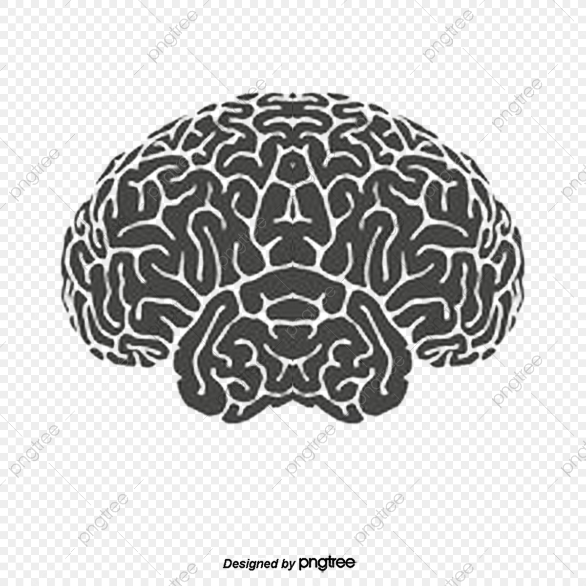 Human Brain Vector, Human Vector, Brain Vector, Hand Png 1200x1200 Human Brain Vector, Human Vector, Brain Vector, Hand Png