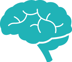 Anatomy In Brain, Image Archive 250x217 Anatomy In Brain, Image Archive