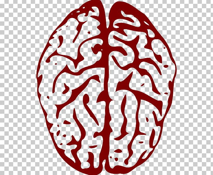 Brain Dexter Morgan Png, Clipart, Area, Art, Brain, Brain Vector 728x597 Brain Dexter Morgan Png, Clipart, Area, Art, Brain, Brain Vector