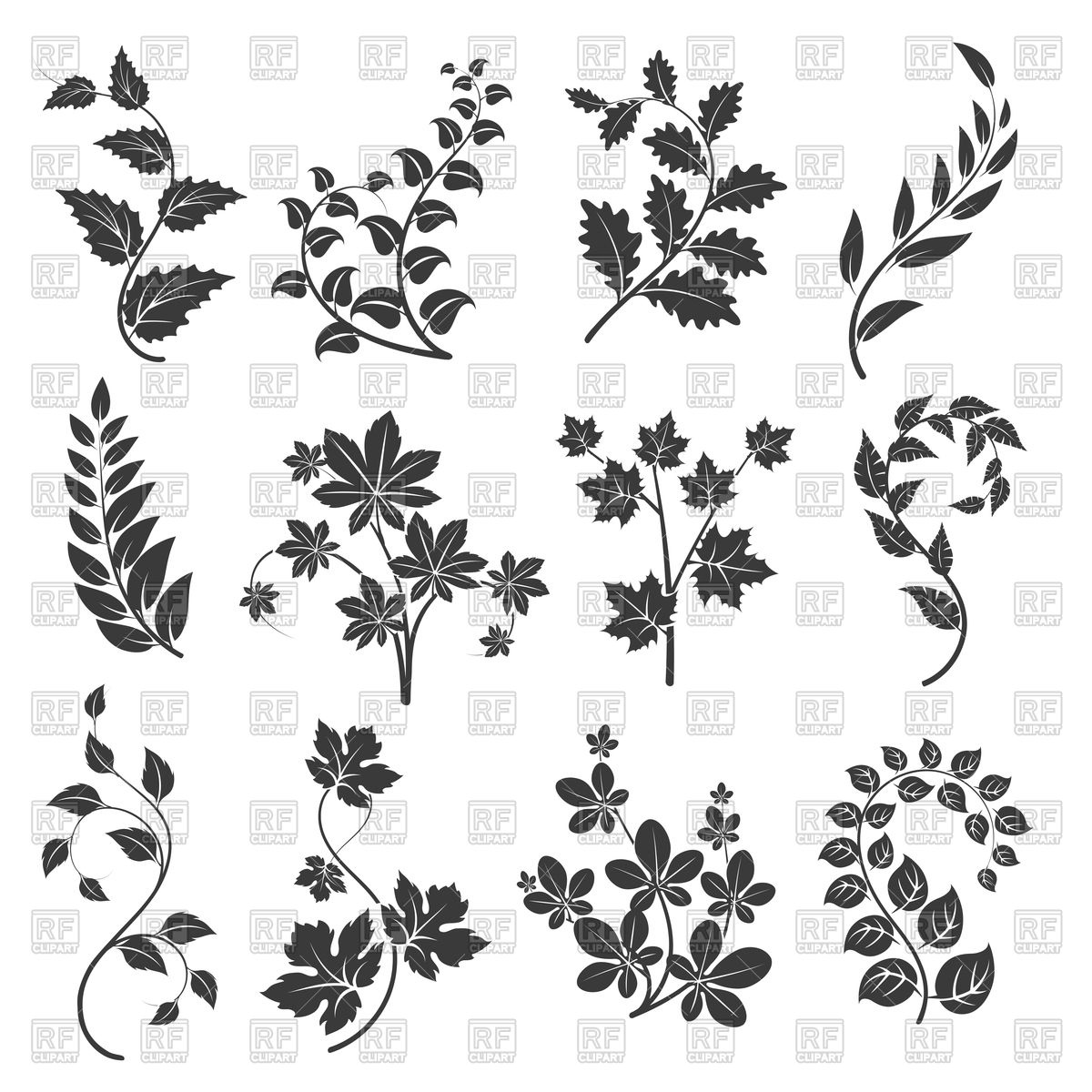 1200x1200 Curly Branches Silhouettes With Leaves Vector Image Of Signs