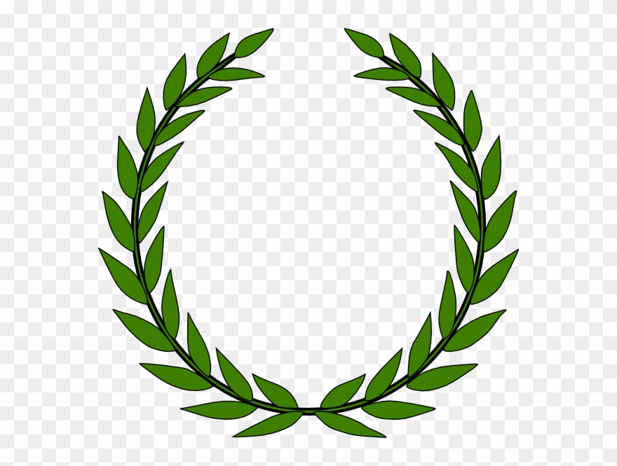 880x665 Olive Branch Vector Clipart