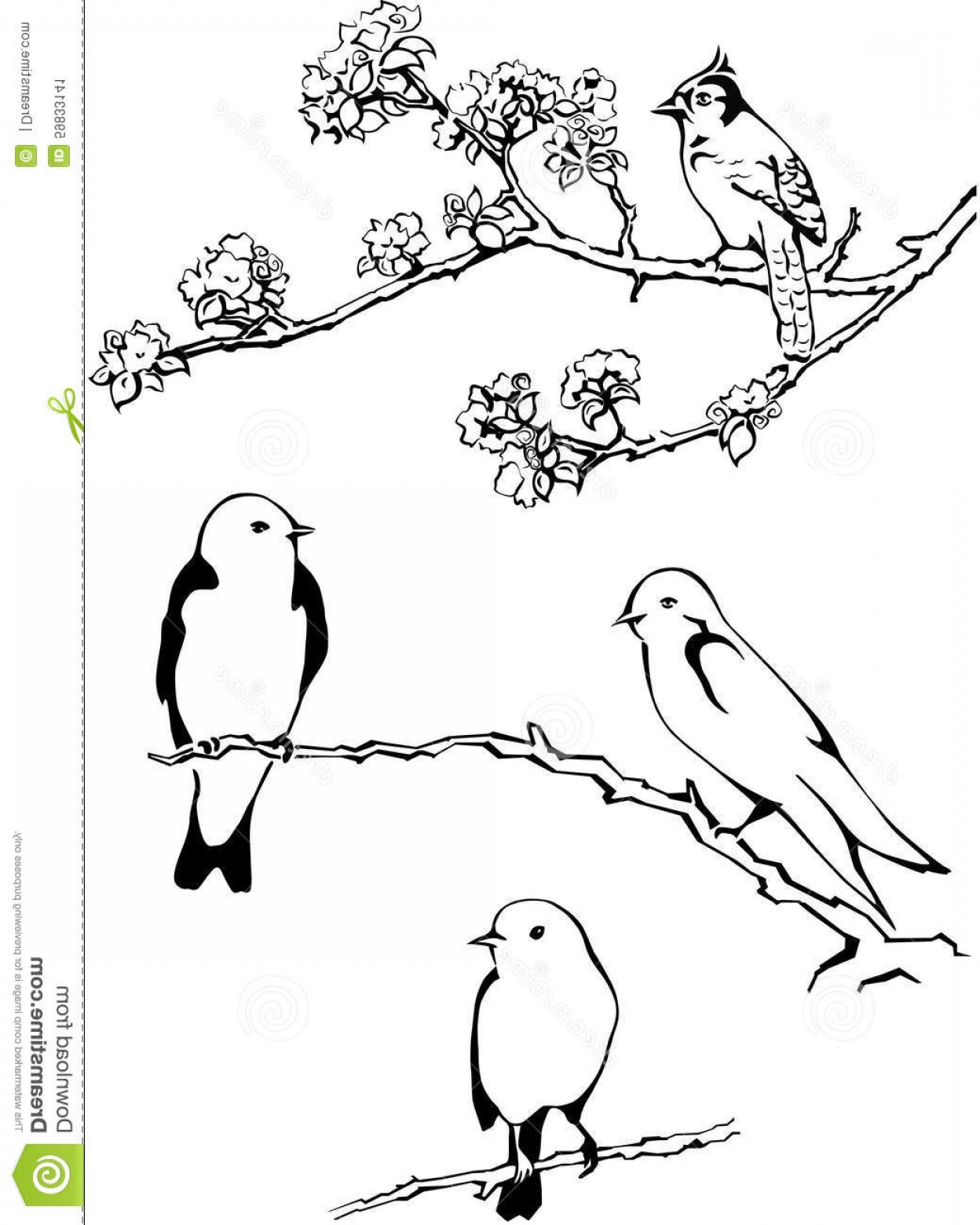 1248x1560 Stock Illustration Bird Branch Vector Birds Twig Flowers Tree