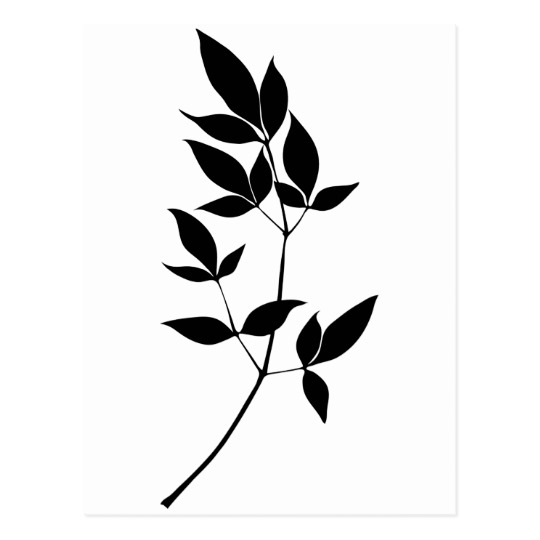 540x540 Black White Vector Leaves Branch Silhouette Postcard