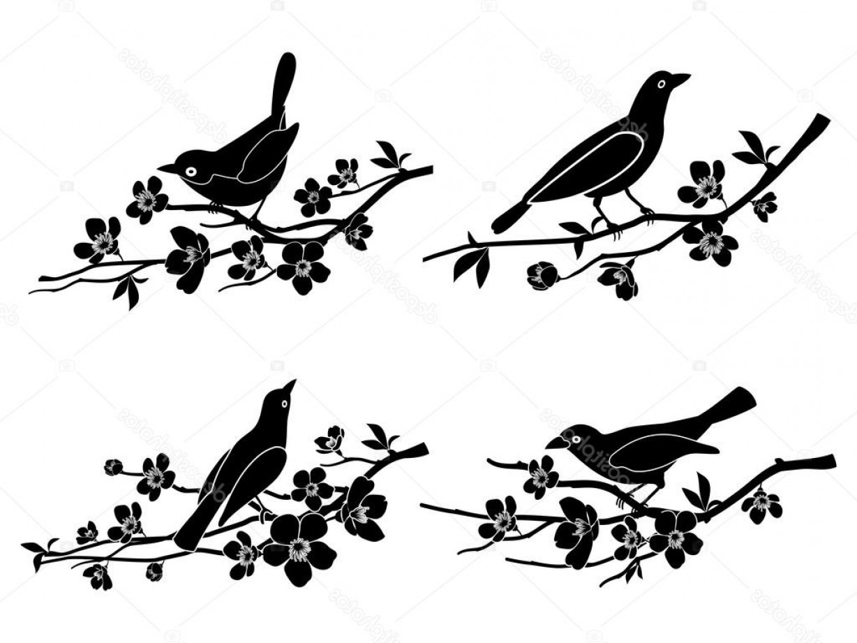 1228x921 Stock Illustration Birds On Branches Vector Silhouettes Soidergi