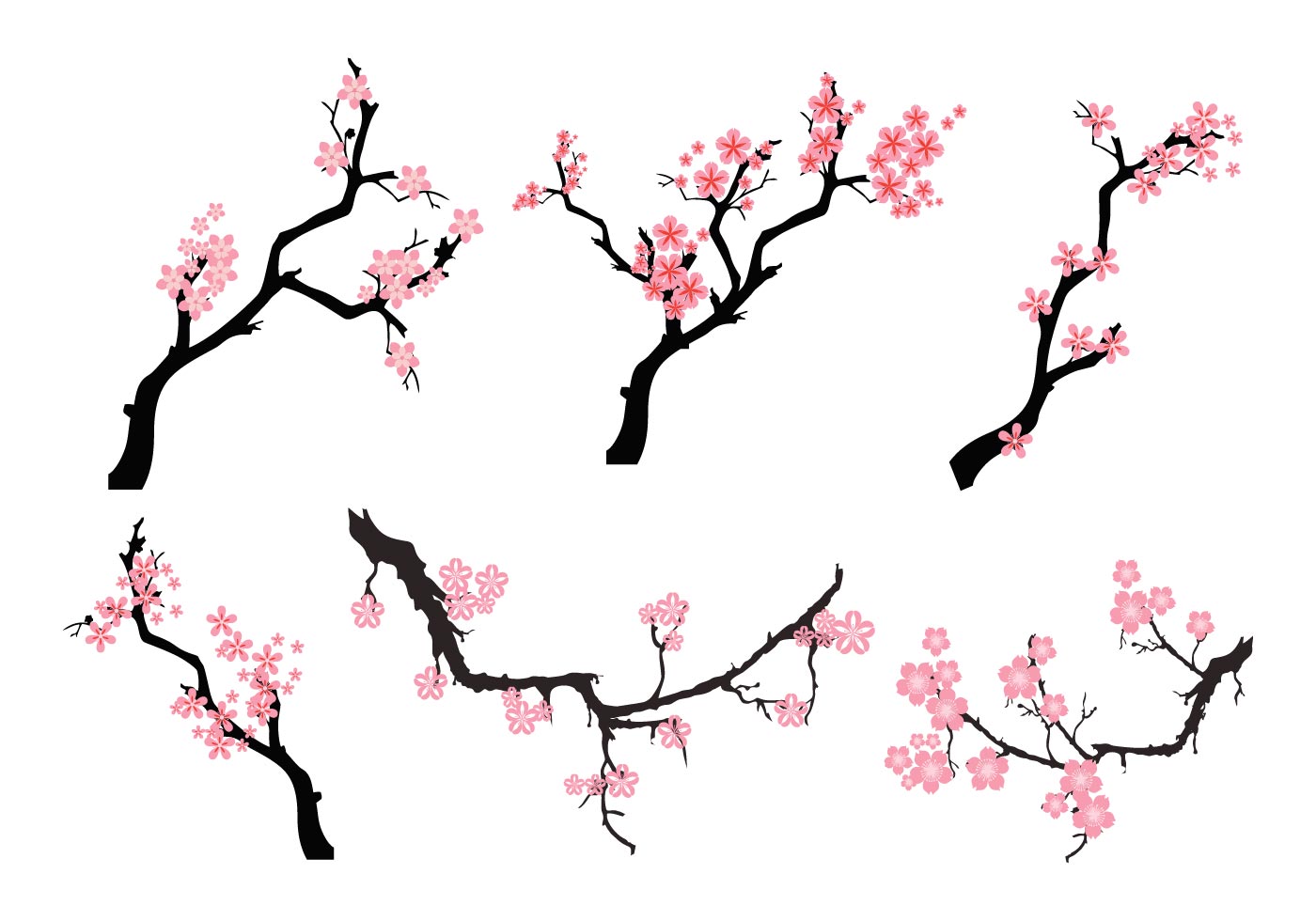 Branch Vector At Vectorified Com Collection Of Branch Vector Free For   Branch Vector 22 