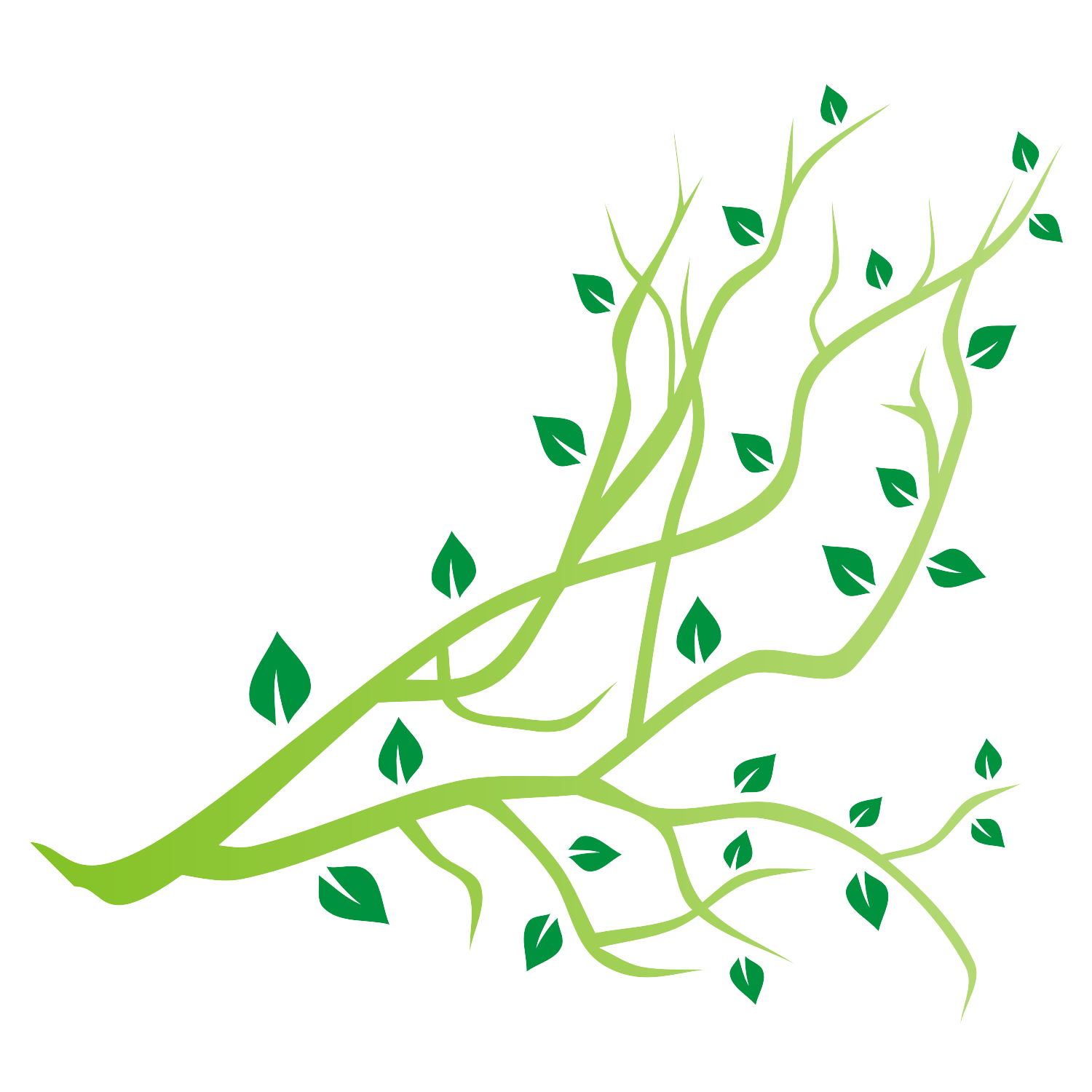 1500x1500 Tree Branch Vector Tree Designs Vector Free, Cartoon Trees