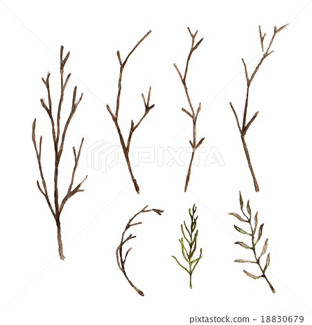 450x468 Watercolor Paint Tree Branch Vector Isolated