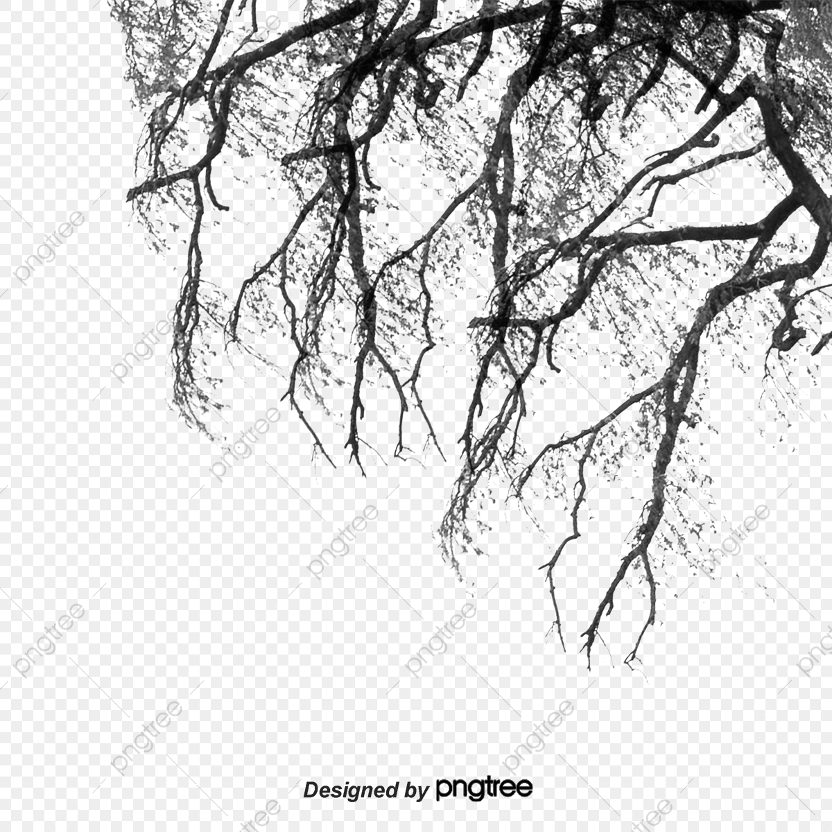 1200x1200 Branch, Branch Vector, Branches, Vector Png And Vector