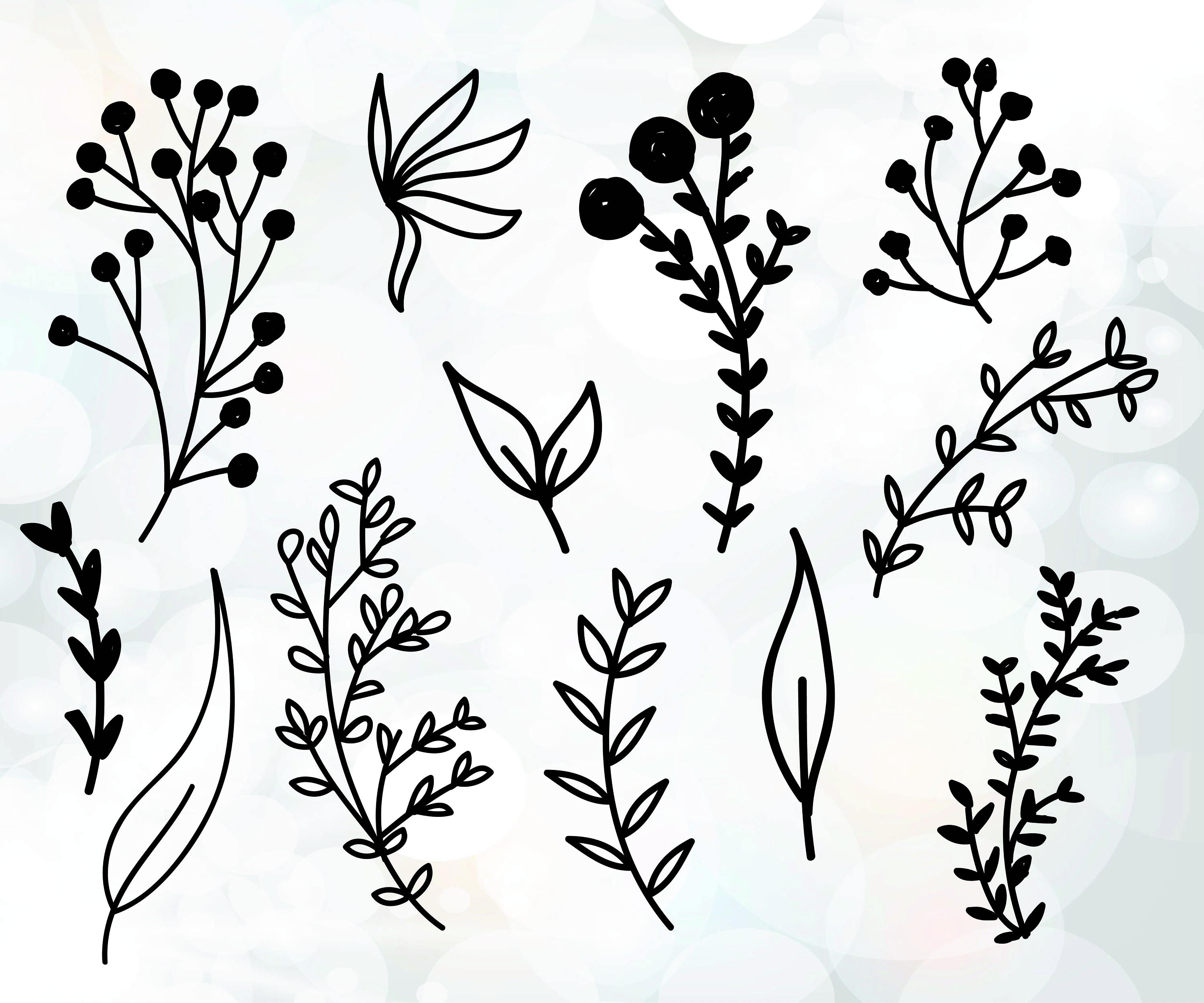 3000x2500 Branch Plants Branch Vector Flower Decoration Etsy