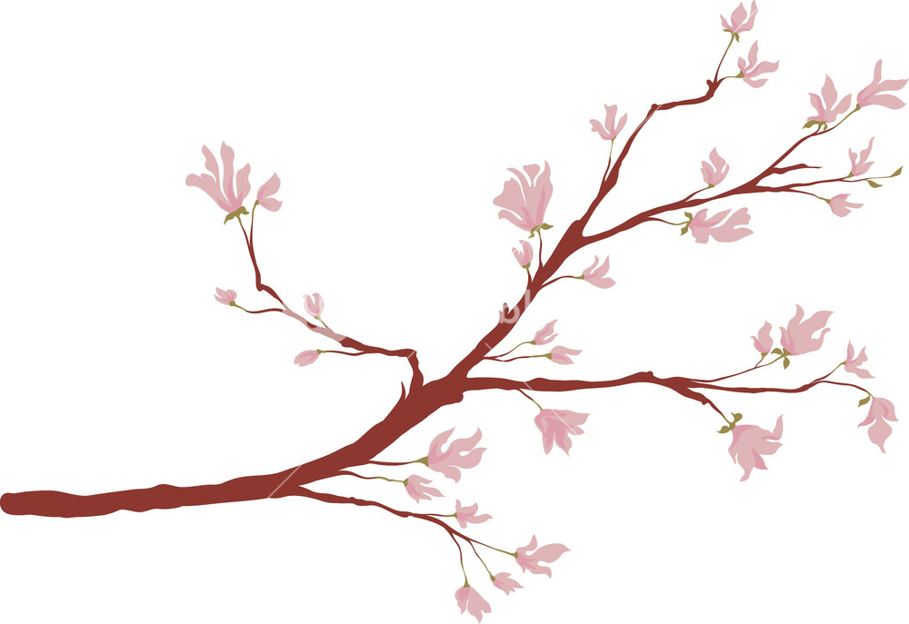 1000x687 Branch Vector Element Royalty Free Stock Image