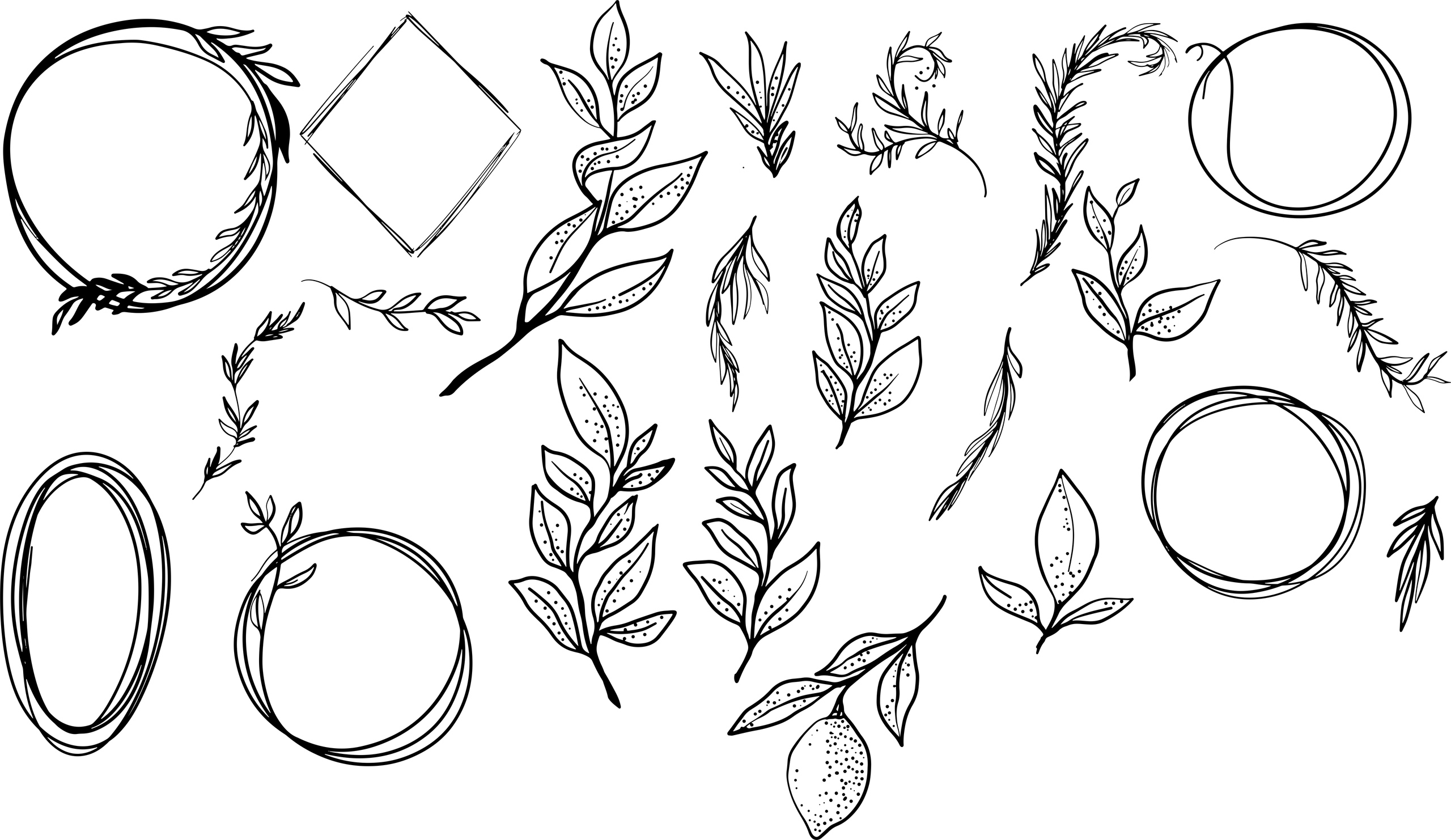 2560x1482 Branch Vector Set Free Vector Cdr Free Download Vector