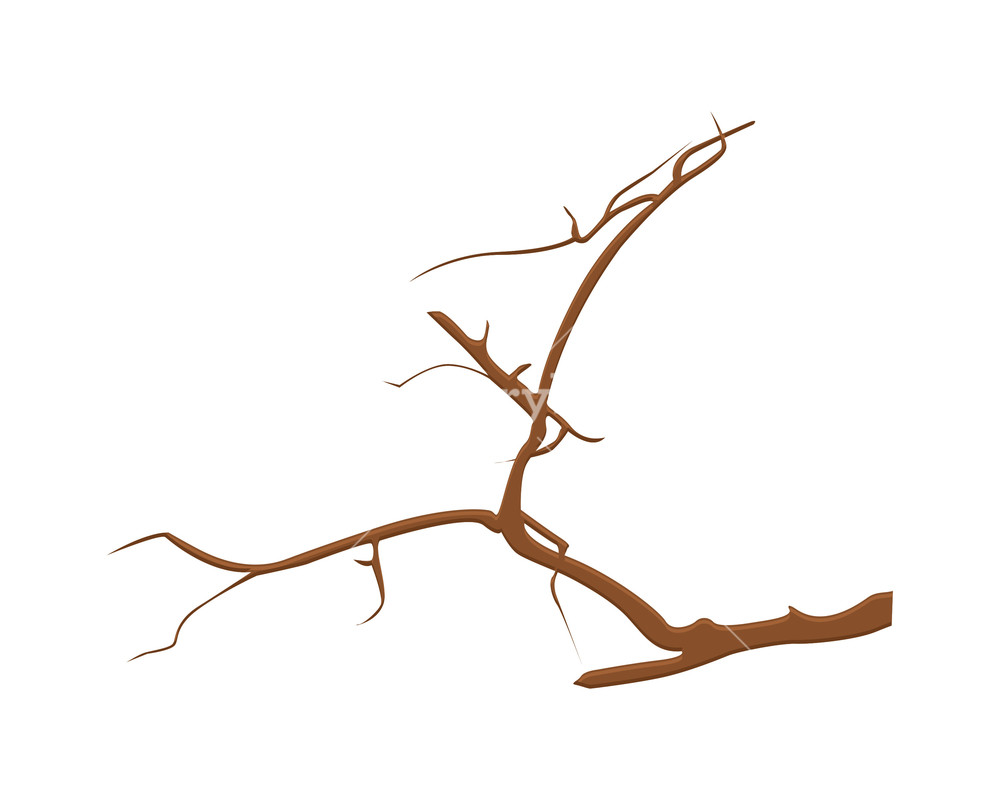 Branch Vector at Vectorified.com | Collection of Branch Vector free for ...