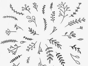 310x233 Calligraphic Branches And Leaves Free Vectors Free Vectors Ui