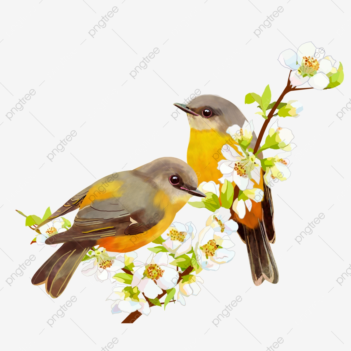 1200x1200 Cartoon Bird On Branch Vector, Branches, Flowers, Birds Png