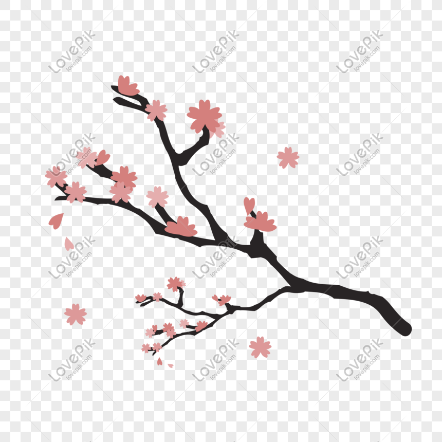 860x860 Romantic Cherry Tree Branches Vector Free Illustration Png