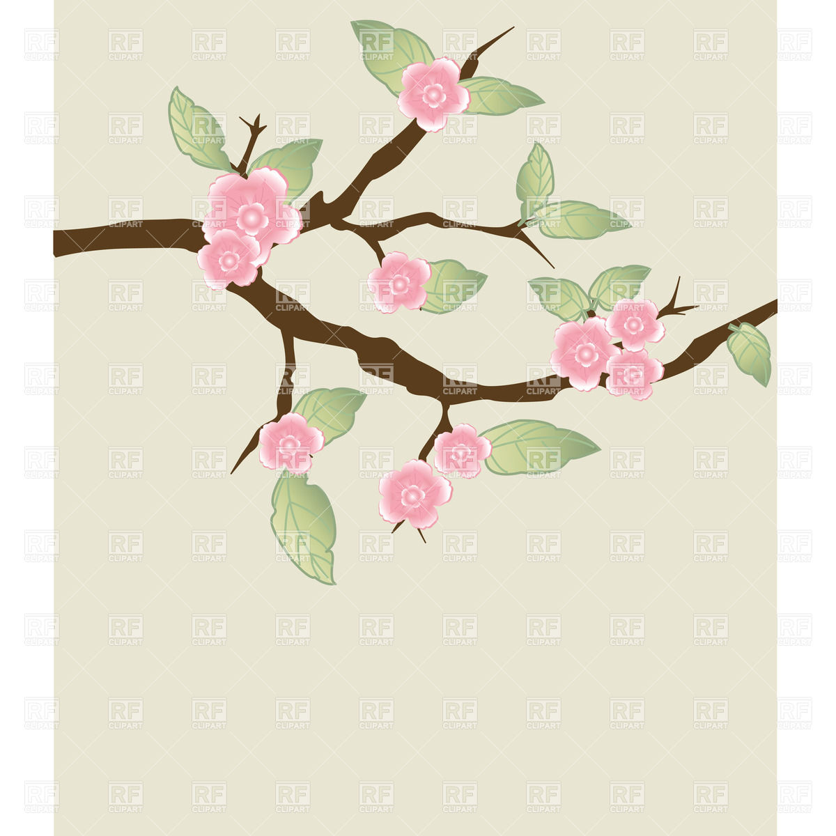 1200x1200 Blossoming Cherry Branch Vector Image Of Plants And Animals