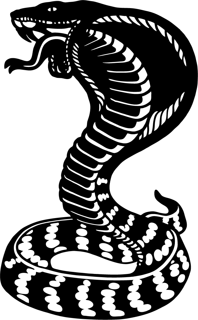 685x1105 Branding Iron