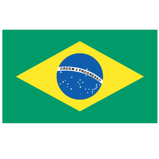 brazil flag illustration free download