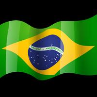 200x200 Brazil Flag Free Vector Art