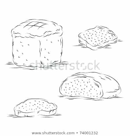 450x470 Bread Sketch