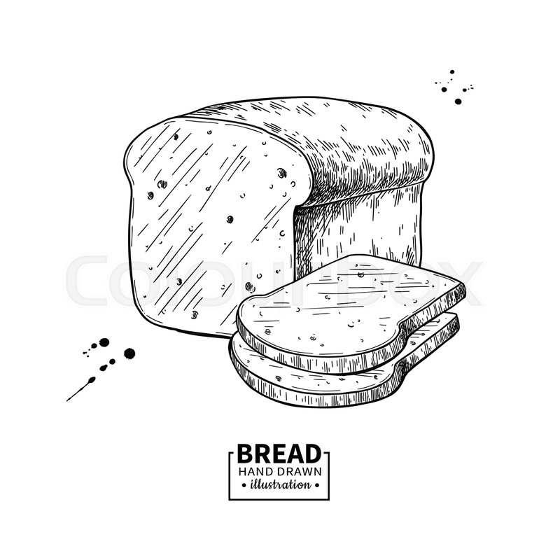 Bread Vector Drawing Bakery Product Stock Vector Colourbox 800x800 Bread Vector Drawing Bakery Product Stock Vector Colourbox