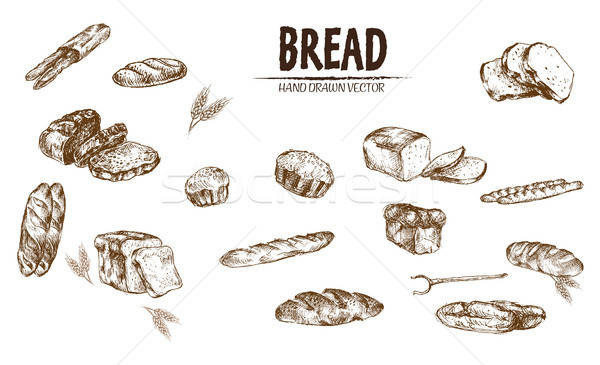Digital Vector Detailed Line Art Baked Bread Vector Illustration 600x365 Digital Vector Detailed Line Art Baked Bread Vector Illustration