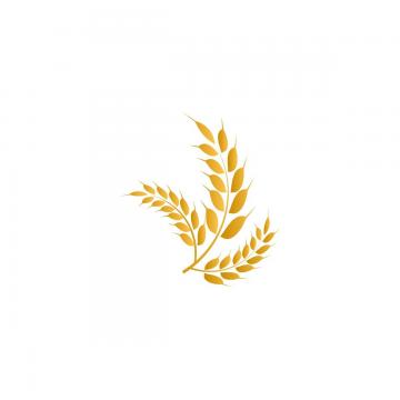 Bread Vector, Free Download Bread Cartoon, Bread Vector, Bread 360x360 Bread Vector, Free Download Bread Cartoon, Bread Vector, Bread