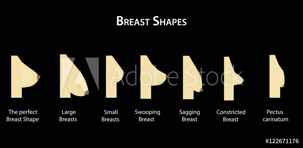 1000x488 Photo Art Print Shape The Breast Vector Illustration On A Black
