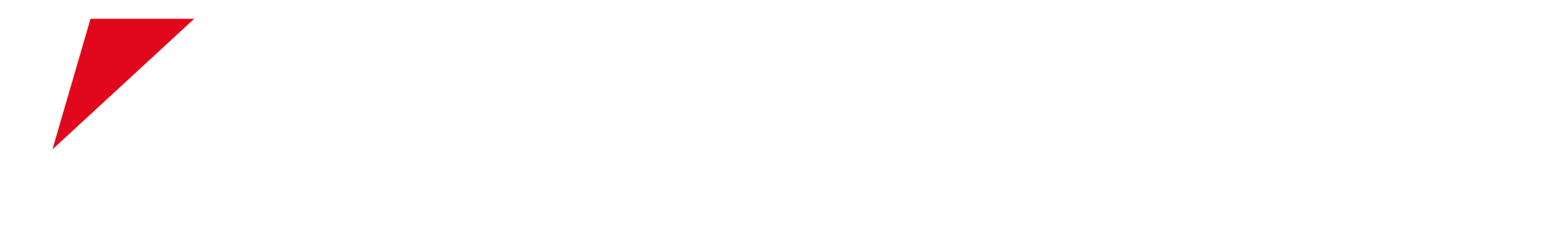 2284x356 Bridgestone Logo