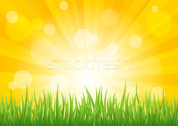 600x423 Bright Vector Sun Effect With Green Grass Field Vector