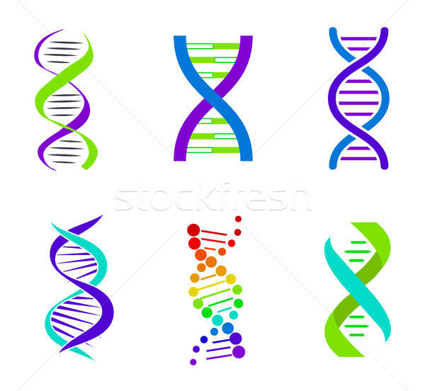 600x552 Colorful Dna Spirals, Bright Vector Illustration Vector