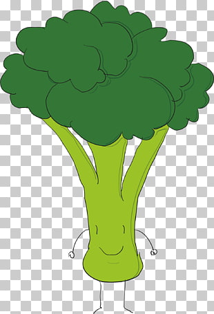 310x454 Broccoli Vector Png Cliparts For Free Download Uihere
