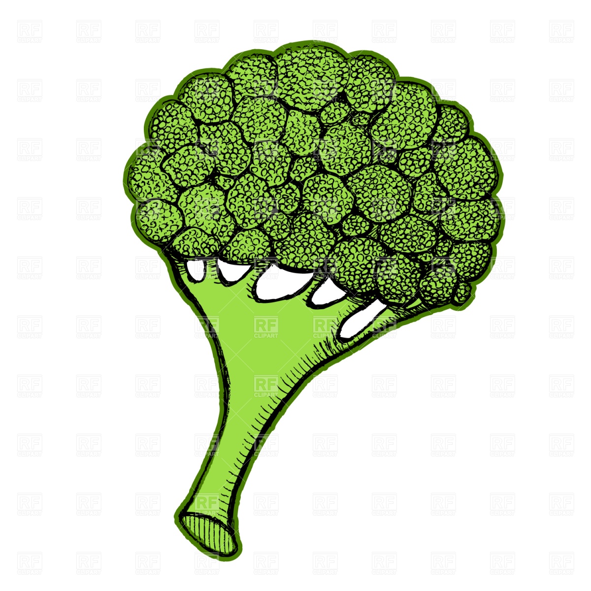 1200x1200 Broccoli Vector Image Of Food And Beverages Piekno